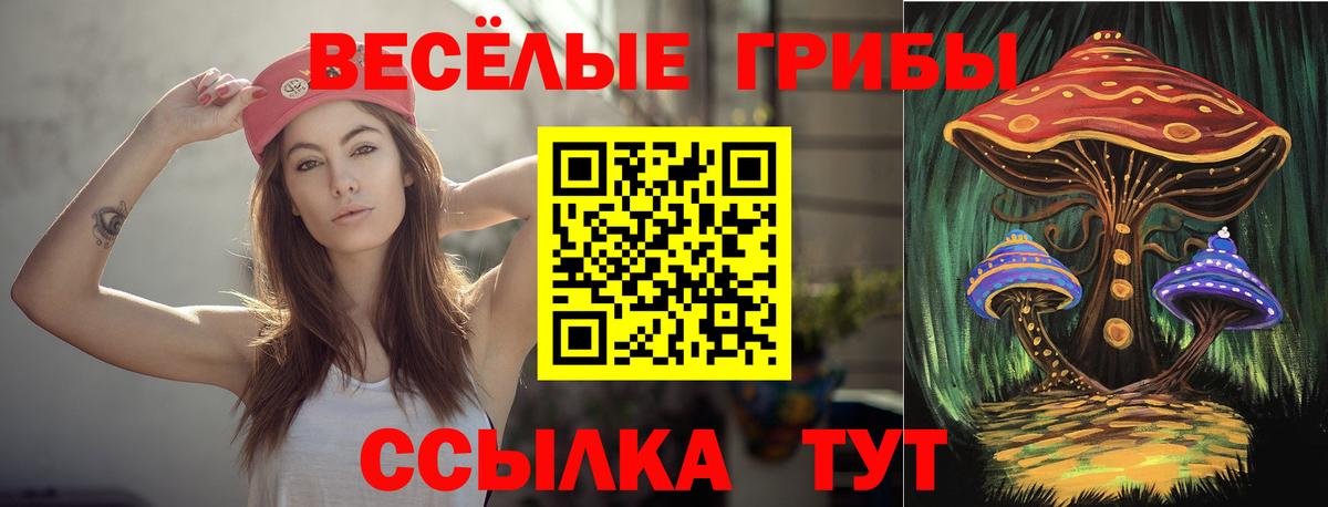 Галлюциногенные грибы Magic Shrooms  Вход с VPN  Псков  Псилоцибиновые грибы мухоморы 